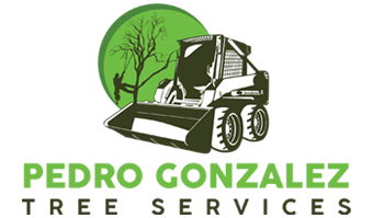 Pedro González Tree Services